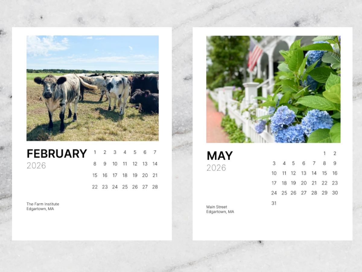 Martha's Vineyard 2026 Desk Calendar - A Year of Beauty, Lighthouses, Scenic views, Ocean, Farms